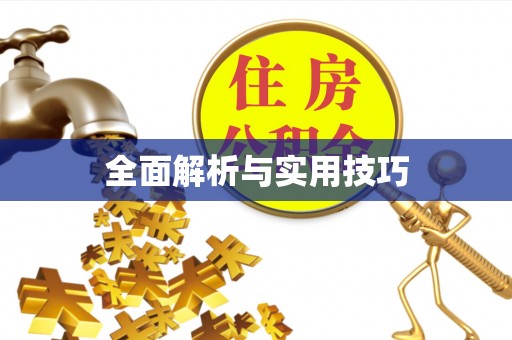 梅列全面解析与实用技巧