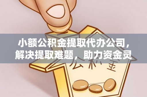 梅列小额公积金提取代办公司，解决提取难题，助力资金灵活使用