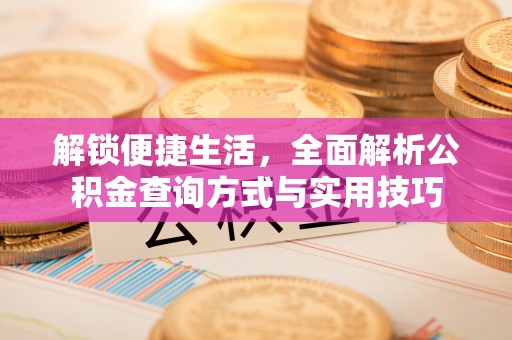 梅列解锁便捷生活，全面解析公积金查询方式与实用技巧