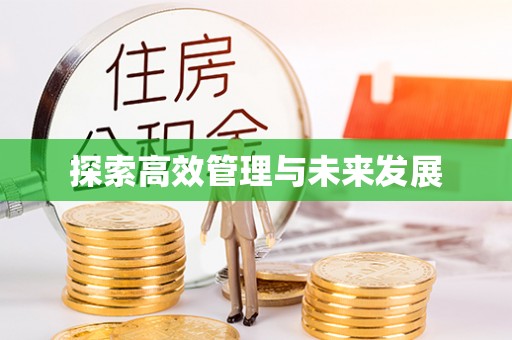 梅列探索高效管理与未来发展