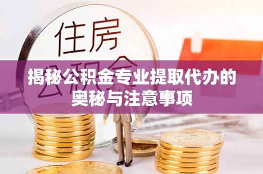 梅列揭秘公积金专业提取代办的奥秘与注意事项