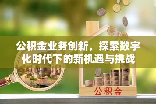 梅列公积金业务创新，探索数字化时代下的新机遇与挑战