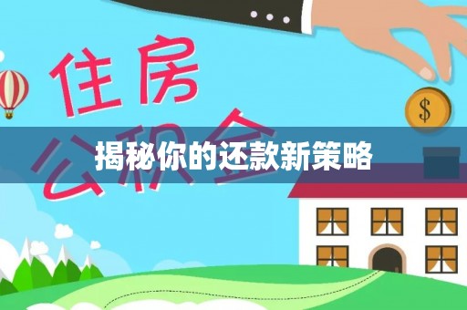 梅列揭秘你的还款新策略