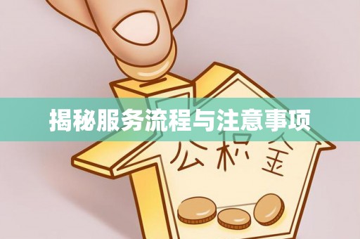 梅列揭秘服务流程与注意事项