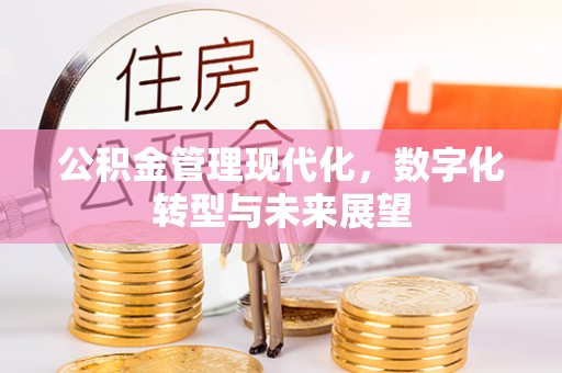 梅列公积金管理现代化，数字化转型与未来展望