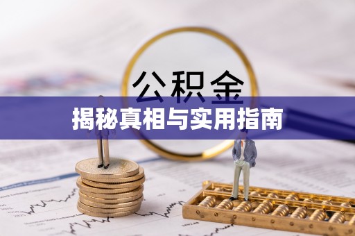 梅列揭秘真相与实用指南