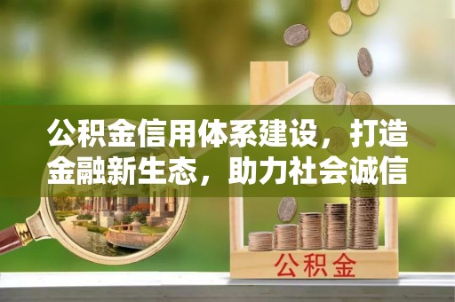 梅列公积金信用体系建设，打造金融新生态，助力社会诚信发展