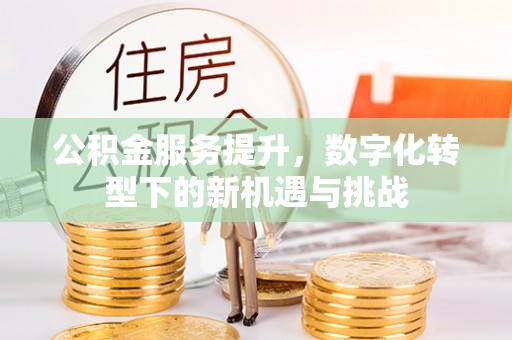 梅列公积金服务提升，数字化转型下的新机遇与挑战
