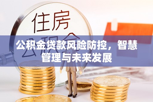 梅列公积金贷款风险防控，智慧管理与未来发展