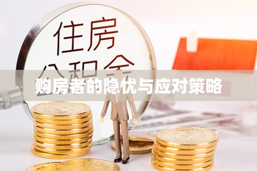 梅列购房者的隐忧与应对策略
