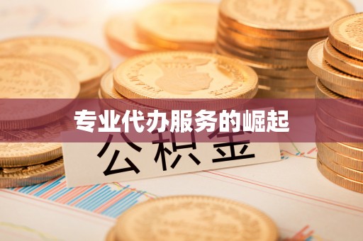 梅列专业代办服务的崛起