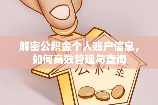 梅列解密公积金个人账户信息，如何高效管理与查询