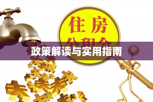 梅列政策解读与实用指南