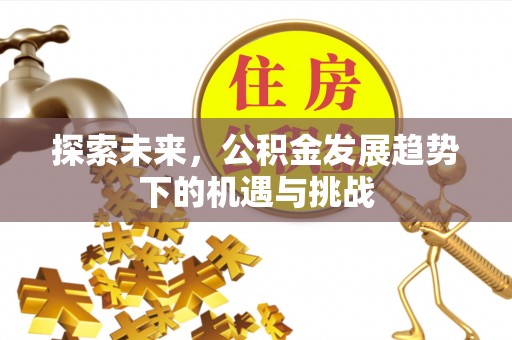 梅列探索未来，公积金发展趋势下的机遇与挑战
