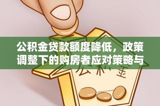 梅列公积金贷款额度降低，政策调整下的购房者应对策略与未来趋势