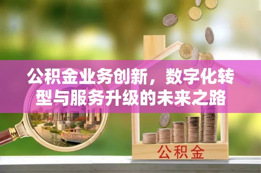 梅列公积金业务创新，数字化转型与服务升级的未来之路