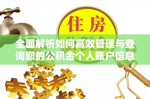梅列全面解析如何高效管理与查询您的公积金个人账户信息