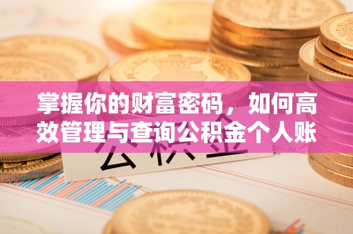 梅列掌握你的财富密码，如何高效管理与查询公积金个人账户信息