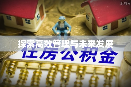 梅列探索高效管理与未来发展