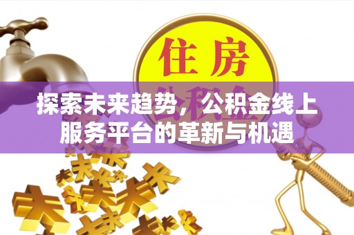 梅列探索未来趋势，公积金线上服务平台的革新与机遇