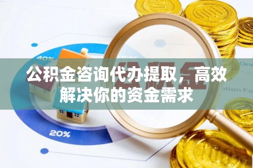 梅列公积金咨询代办提取，高效解决你的资金需求