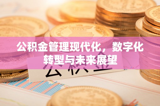 梅列公积金管理现代化，数字化转型与未来展望