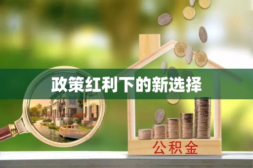 梅列政策红利下的新选择