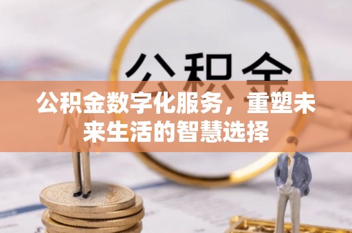 梅列公积金数字化服务，重塑未来生活的智慧选择