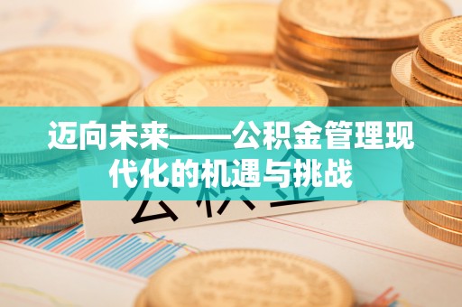 梅列迈向未来——公积金管理现代化的机遇与挑战