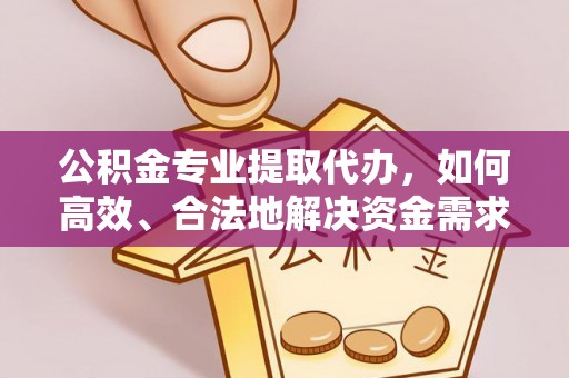 梅列公积金专业提取代办，如何高效、合法地解决资金需求？