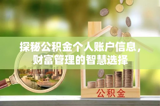 梅列探秘公积金个人账户信息，财富管理的智慧选择