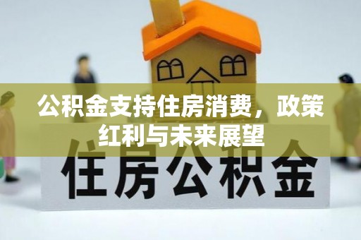 梅列公积金支持住房消费，政策红利与未来展望