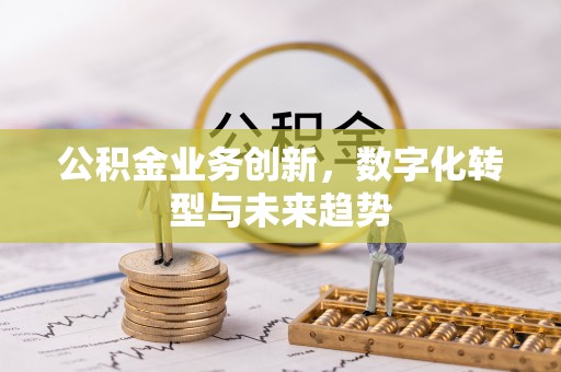 梅列公积金业务创新，数字化转型与未来趋势