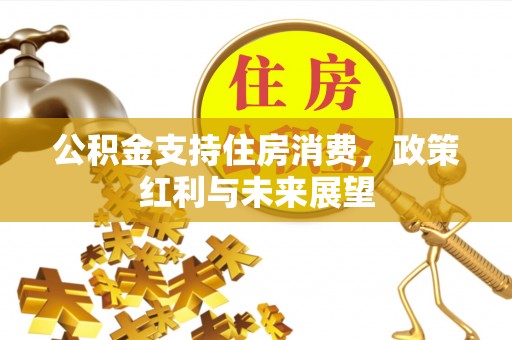 梅列公积金支持住房消费，政策红利与未来展望