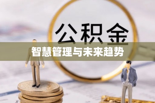 梅列智慧管理与未来趋势