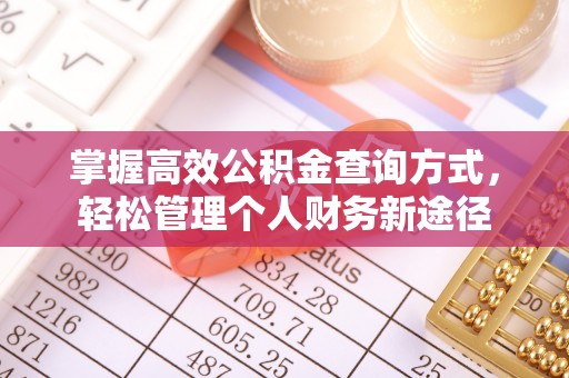 梅列掌握高效公积金查询方式，轻松管理个人财务新途径