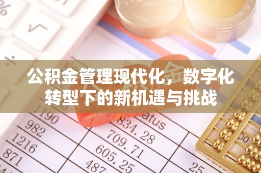 梅列公积金管理现代化，数字化转型下的新机遇与挑战