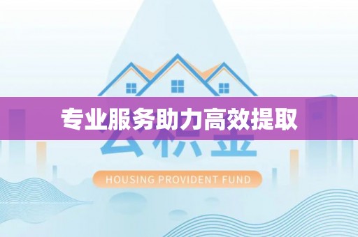 梅列专业服务助力高效提取