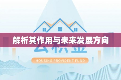 梅列解析其作用与未来发展方向