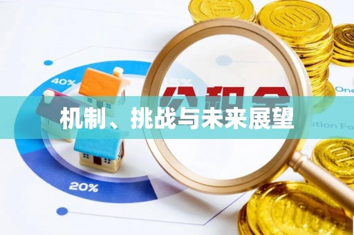 梅列机制、挑战与未来展望