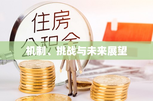 梅列机制、挑战与未来展望