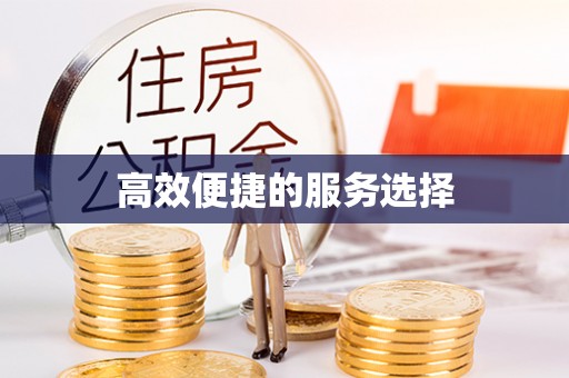 梅列高效便捷的服务选择